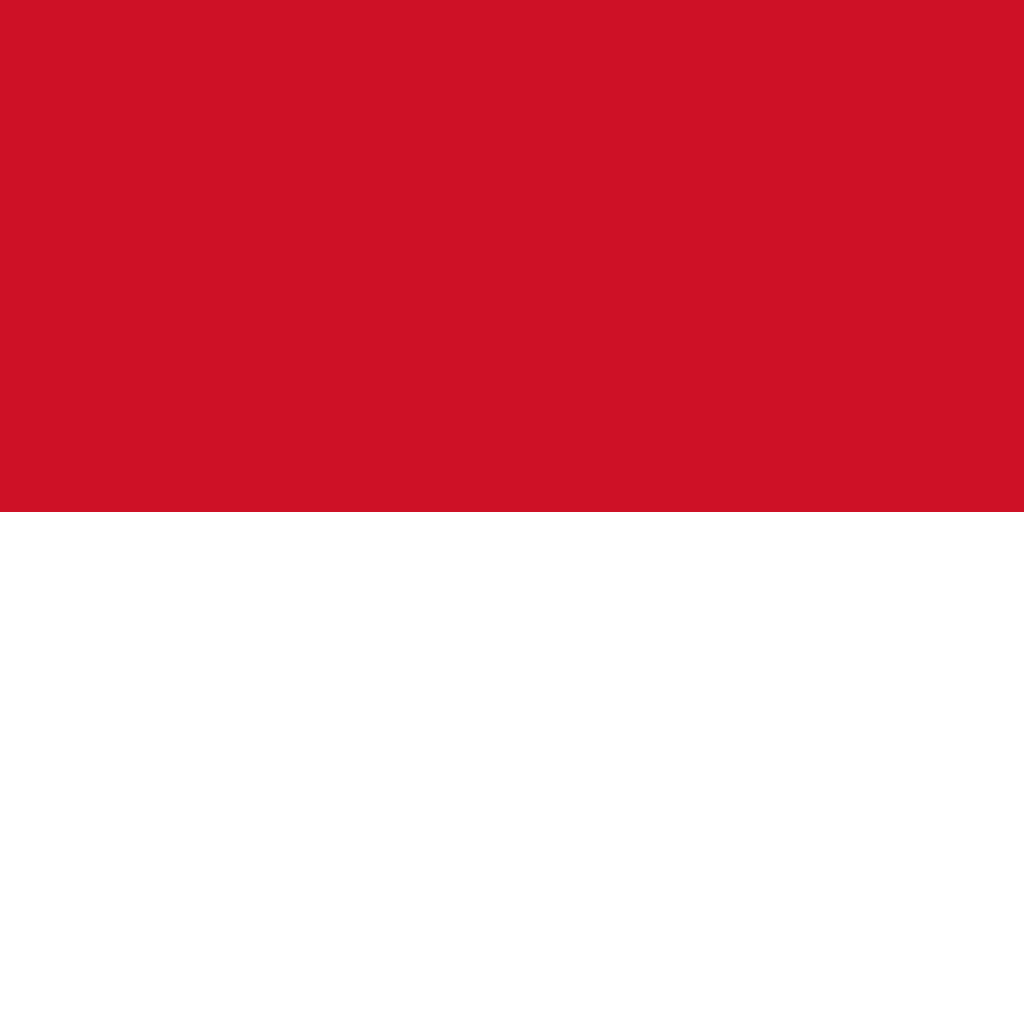 INDONESIA/インドネシア