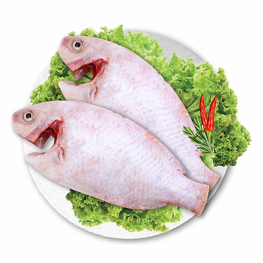 Cá diêu hồng làm sạch đông lạnh 600-800g